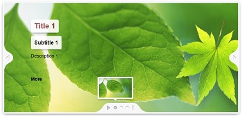 DNNGo.LayerSlider.Effect23