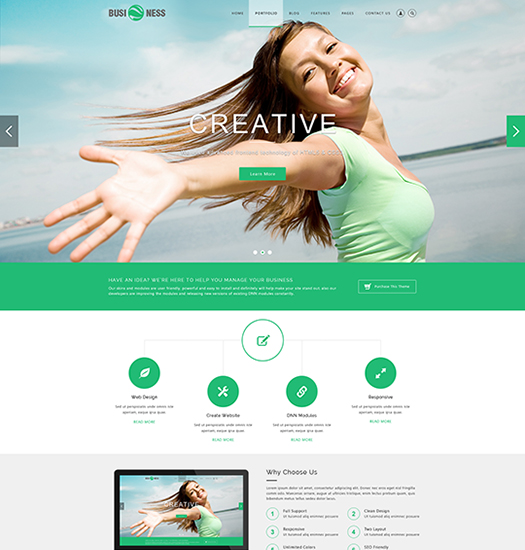 SP20064 Unlimited Responsive Multi-Purpose DNN Theme