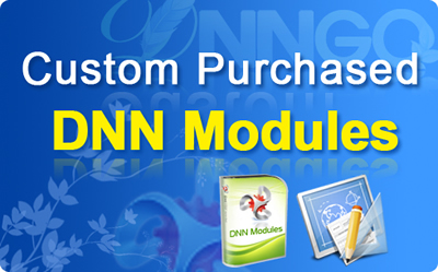 CS80009-Customize purchased DNN modules from us (per hour)