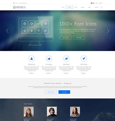 SP20054 DNN theme preview